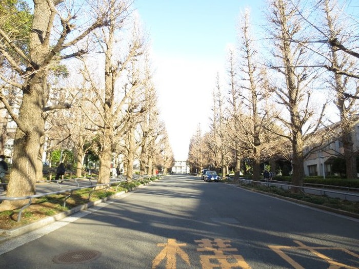 慶應大学日吉キャンパス(大学/短大/専門学校)まで1300m ヒルトップテラス日吉本町ｄｕｏ