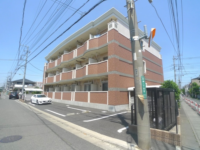 その他 オルニエ－ル