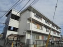 完成写真
