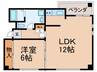 ラフィーネ新城 1LDKの間取り