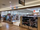 キャンドゥ東急スクエア店(100均)まで373m アパルトマン田園