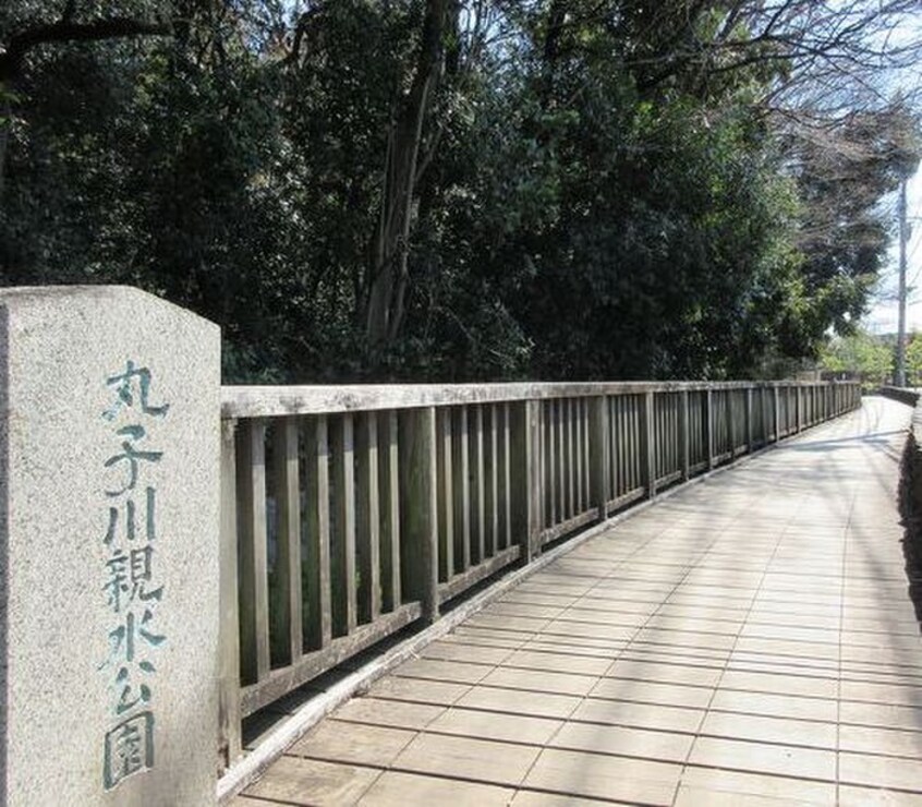 丸子川親水公園(公園)まで186m サンライトハイツ