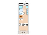 ピロ・ルシュリカ