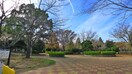 新松戸中央公園(公園)まで30m エステート新松戸２４