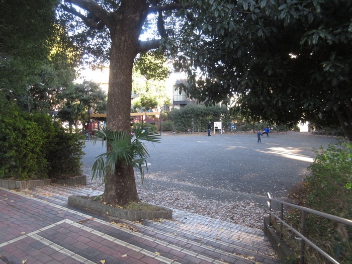 宮崎第二公園(公園)まで553m 高山ビル