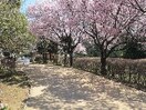 駒場野公園(公園)まで990m roots 駒場東大前