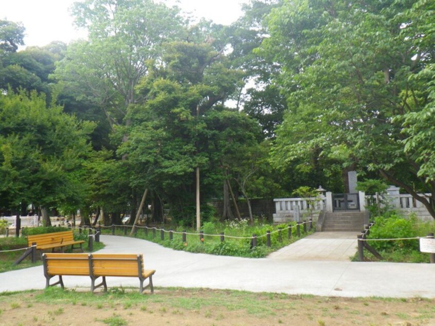 世田谷区立若林公園(公園)まで270m ヴァンテジオ世田谷