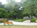 世田谷区立若林公園(公園)まで270m ヴァンテジオ世田谷