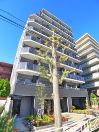 ガーラ・パークサイド木場(304)