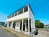 アムール栞