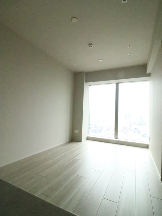 居室 白金ザ・スカイEAST(3515)