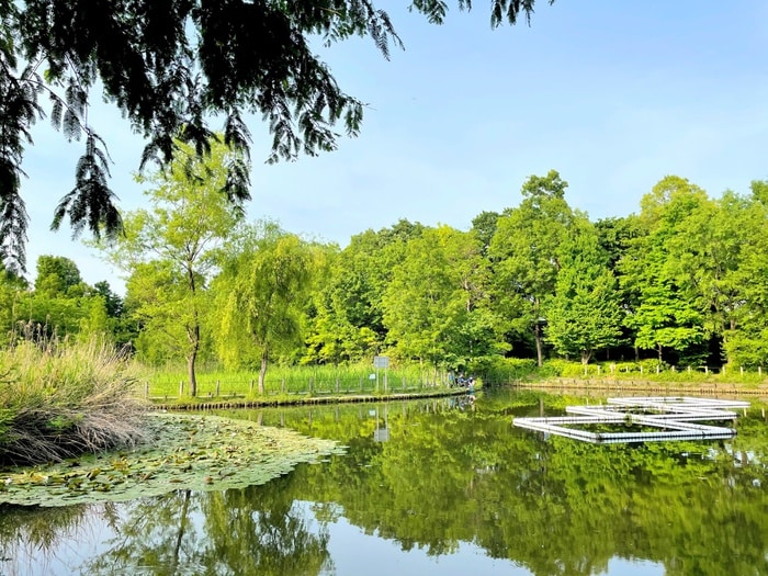 川口自然公園(公園)まで350m ベラ・ノッテ
