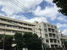 東京農業大学(大学/短大/専門学校)まで317m マルイチビル