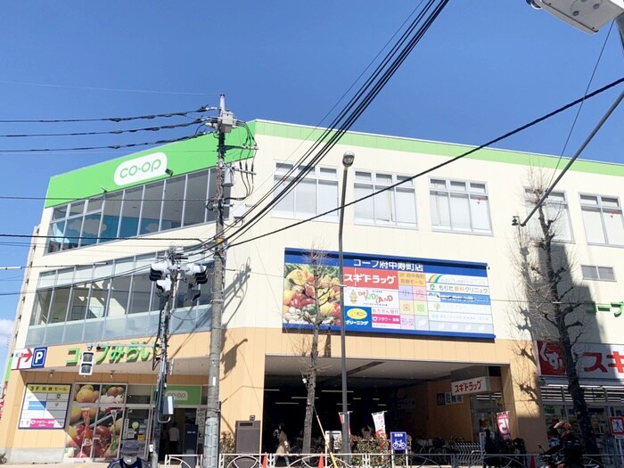 コープ府中寿町店(スーパー)まで72m Je　Glycine寿町