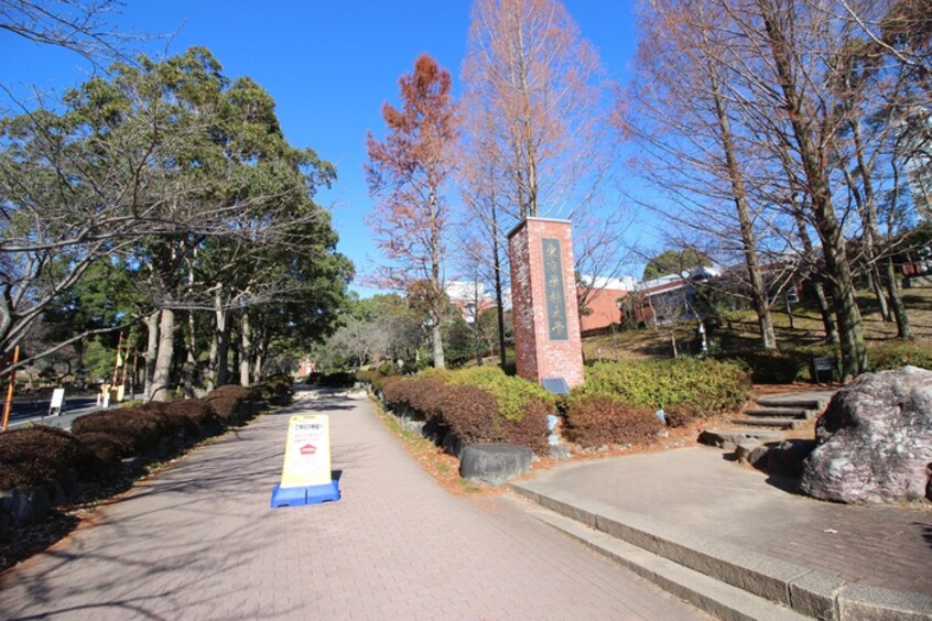 東京薬科大学(大学/短大/専門学校)まで2900m カインドネス京王堀之内