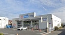 ウエルシア　下石神井店(ドラッグストア)まで479m さくら