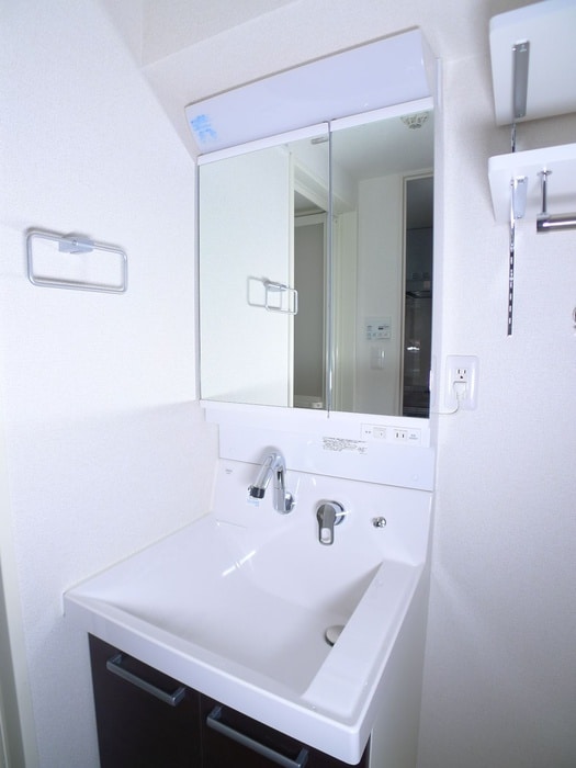 洗面 エレガントカーサⅢ