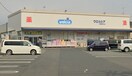 ウエルシア相模原田名店(ドラッグストア)まで741m maison utena