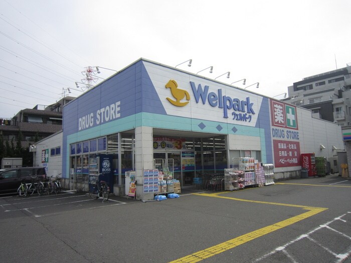 ウェルパーク相模原清新店(ドラッグストア)まで345m アネックス氷川