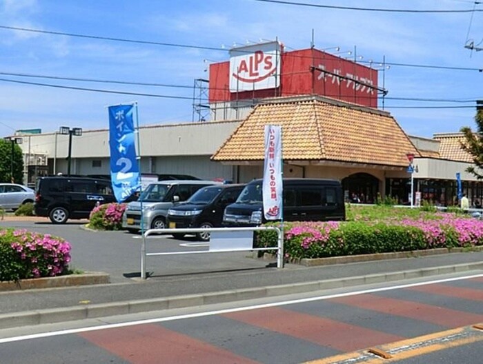 スーパーアルプス 恩方店(スーパー)まで1500m 内田コーポ