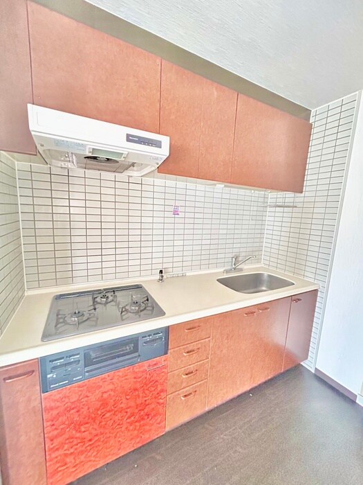 キッチン ﾀﾞｲｱﾊﾟﾚｽｸﾞﾗﾝﾃﾞｨ宮前(206)