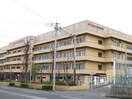 かわさき記念病院(病院)まで388m ﾀﾞｲｱﾊﾟﾚｽｸﾞﾗﾝﾃﾞｨ宮前(206)