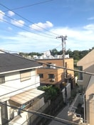 室内からの展望 グリ－ンフォレスト