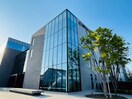 武蔵野音楽大学 江古田キャンパス(大学/短大/専門学校)まで889m ＯＫビル