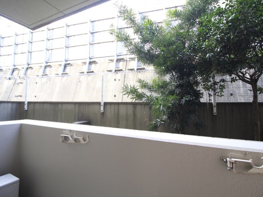 室内からの展望 Ｔ´ｓ　ｇａｒｄｅｎ武蔵小杉