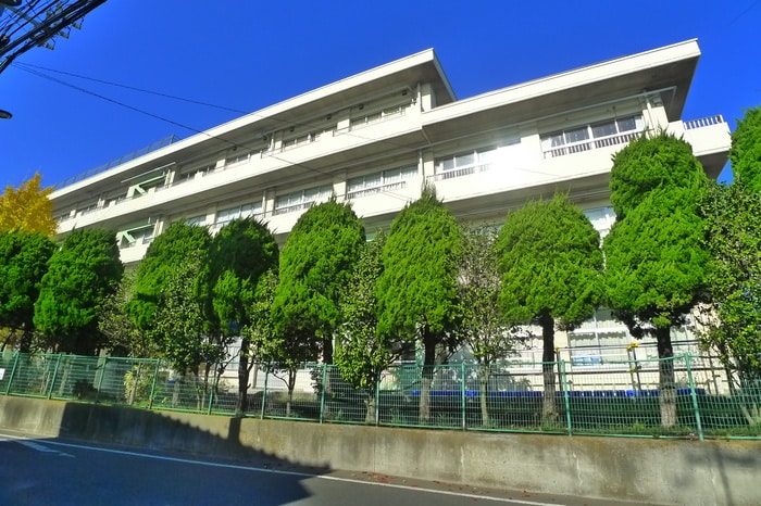 新井小学校(小学校)まで320m グリ－ンマンション