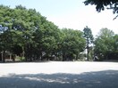 大塚公園(公園)まで500m 千石明穂ハイツ（１０４）