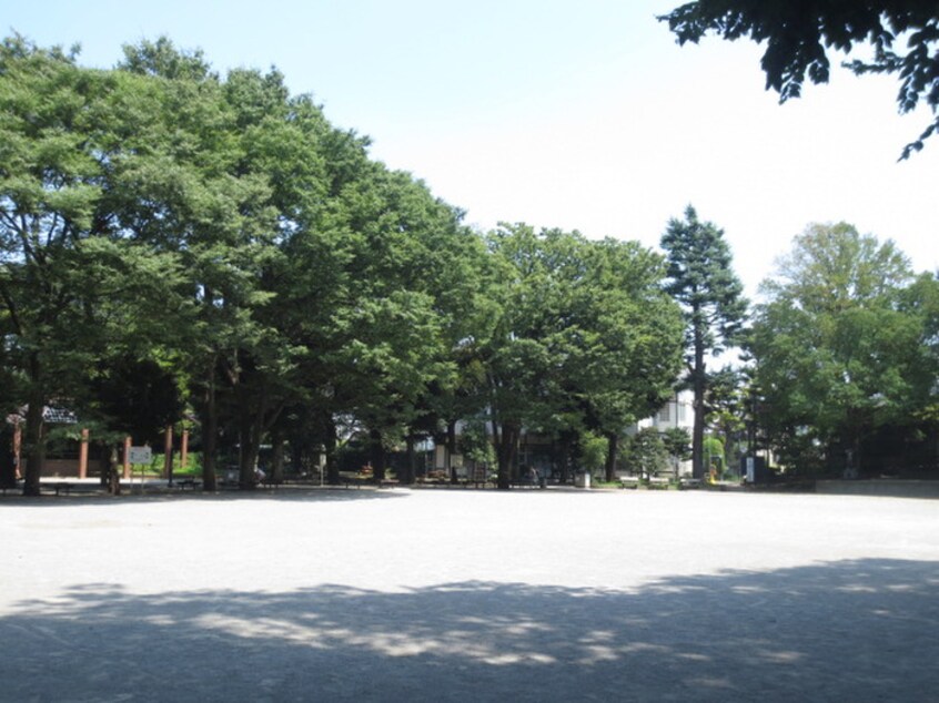 大塚公園(公園)まで500m 千石明穂ハイツ（１０４）