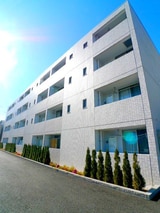 フローリド・カシワ