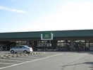 富士シティオ 鶴嶺店(スーパー)まで847m セゾン茅ケ崎
