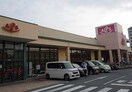 SUPER ALPS(スーパーアルプス) 中野店(スーパー)まで988m クレ－プ・マ－トル