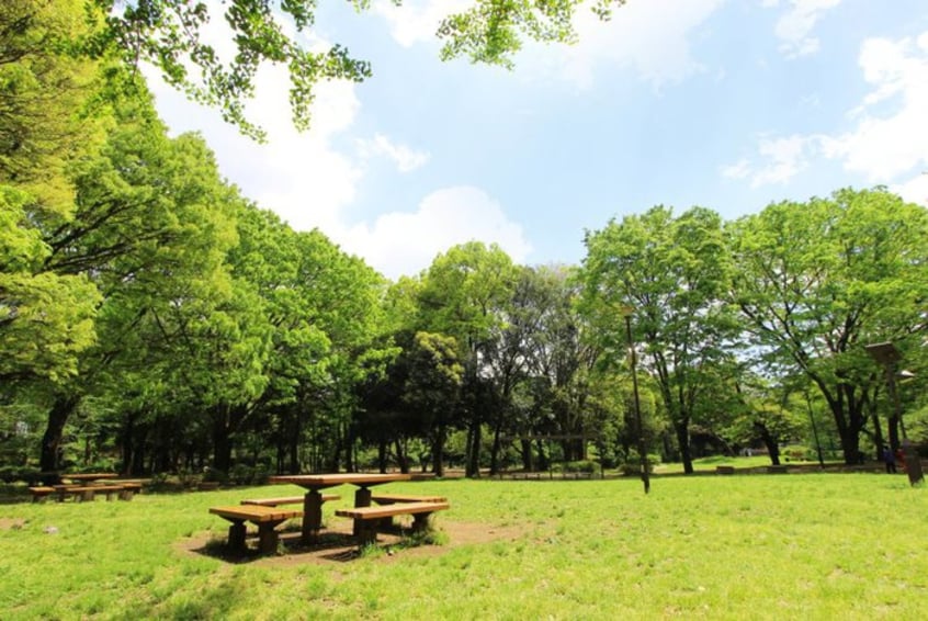 東京都和田堀公園(公園)まで500m スプリングハイツ