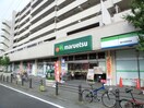 マルエツ　唐木田駅前店(スーパー)まで384m リーバイスハイツⅡ