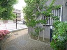 その他 ジョイフル南流山