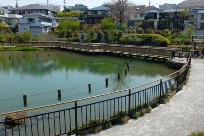 小池公園(公園)まで899m カノウハイツ