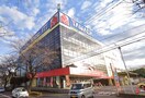 ヤマダデンキ テックランド秦野店(電気量販店/ホームセンター)まで368m ライオンズヒルズ秦野(408)