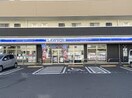 ローソン(コンビニ)まで700m イトウハイム