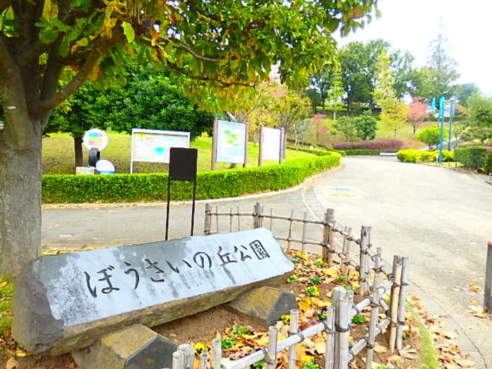 ぼうさの丘公園(公園)まで622m ドゥエ　フェリーチェ