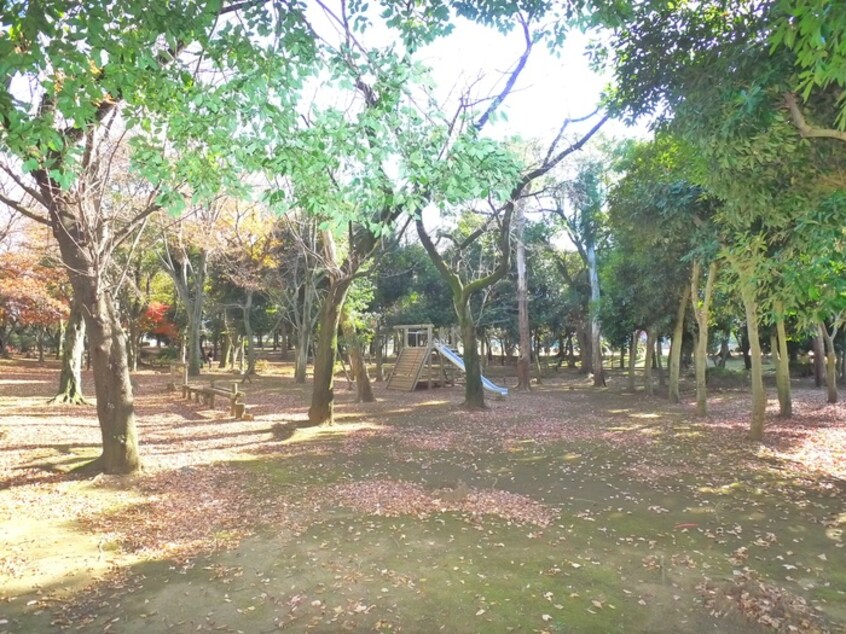 小金原公園(公園)まで1500m ジュネパレス松戸第３５