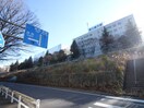 国士舘大学多摩キャンパス(大学/短大/専門学校)まで1900m シャルムルミエ－ル