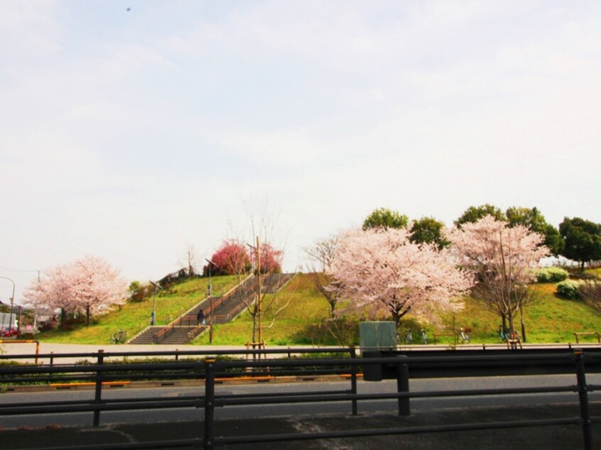 舎人公園(公園)まで850m Ambition古千谷本町