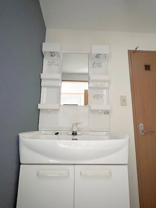 洗面 フリーデンハイム立野際