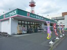 ドラッグセイムス東飯能店(ドラッグストア)まで679m サンバード富士見