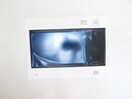 内観写真 TATSUMIｽｶｲｶﾞｰﾃﾞﾝﾃﾗｽ