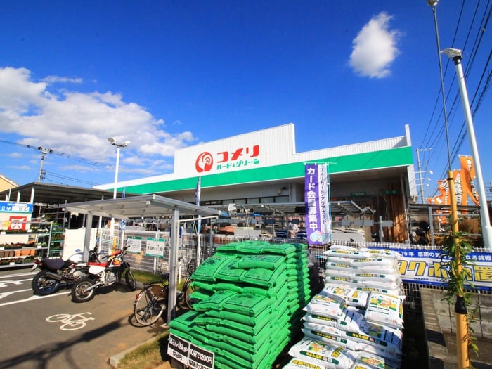コメリ(電気量販店/ホームセンター)まで2500m シャンティC
