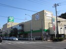 サミット(スーパー)まで550m 第三吉田ハイツ